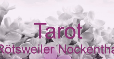 Tarot Rötsweiler Nockenthal | Top-Experten für Kartenlegen, Wahrsagen, Hellsehen, Zukunftsdeutung. Tarot Rötsweiler Nockenthal | Top-Experten für Kartenlegen, Wahrsagen, Hellsehen, Zukunftsdeutung.